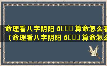 命理看八字阴阳 🐟 算命怎么看（命理看八字阴阳 🐛 算命怎么看出来）